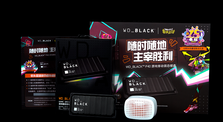 随时随地主宰胜利！WD_BLACK助力《街头篮球》FSPL总决赛