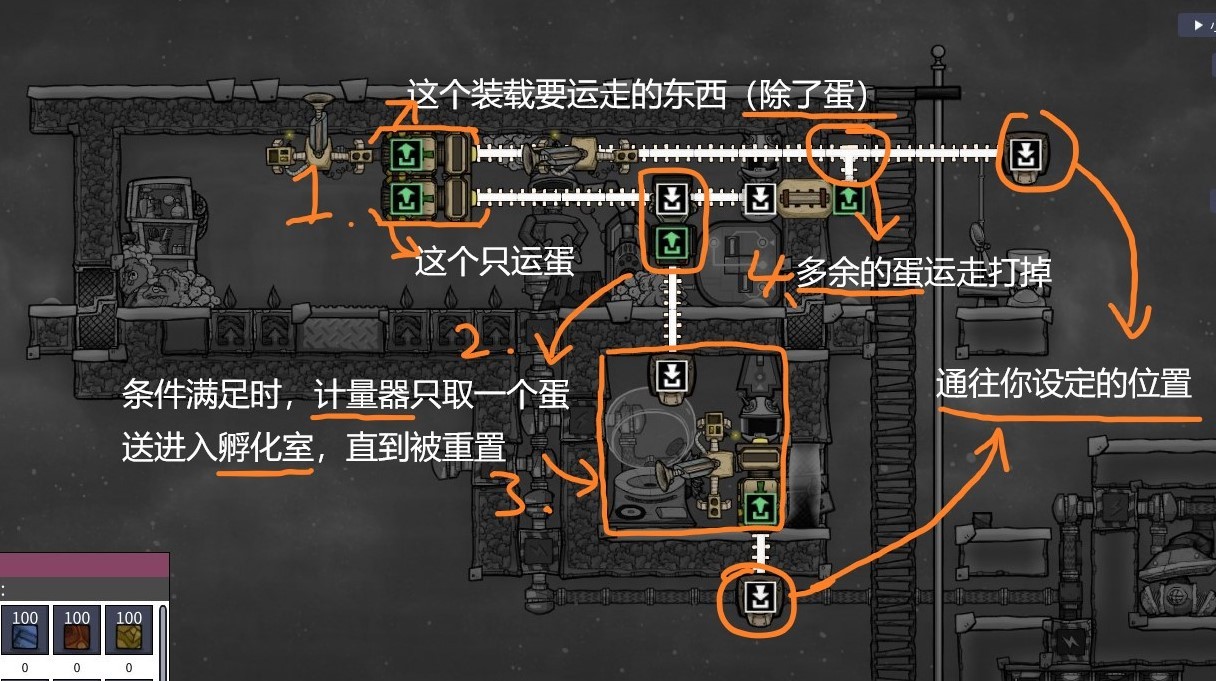 《缺氧》动物数量控制方法