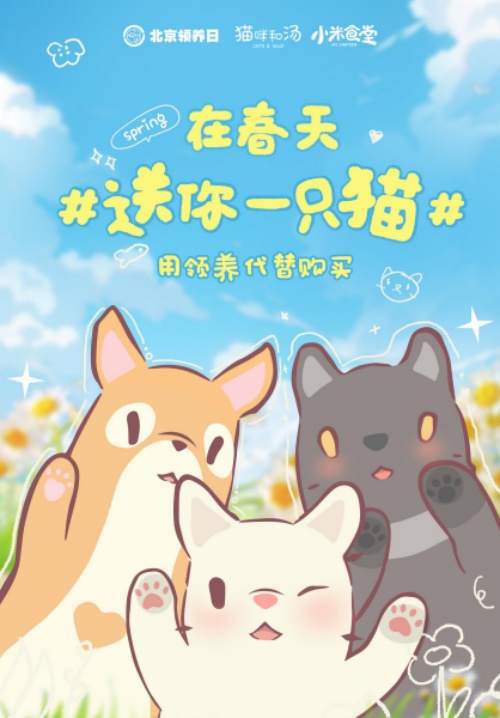 《猫咪和汤》×北京领养日×小米食堂联动，送你一只猫！